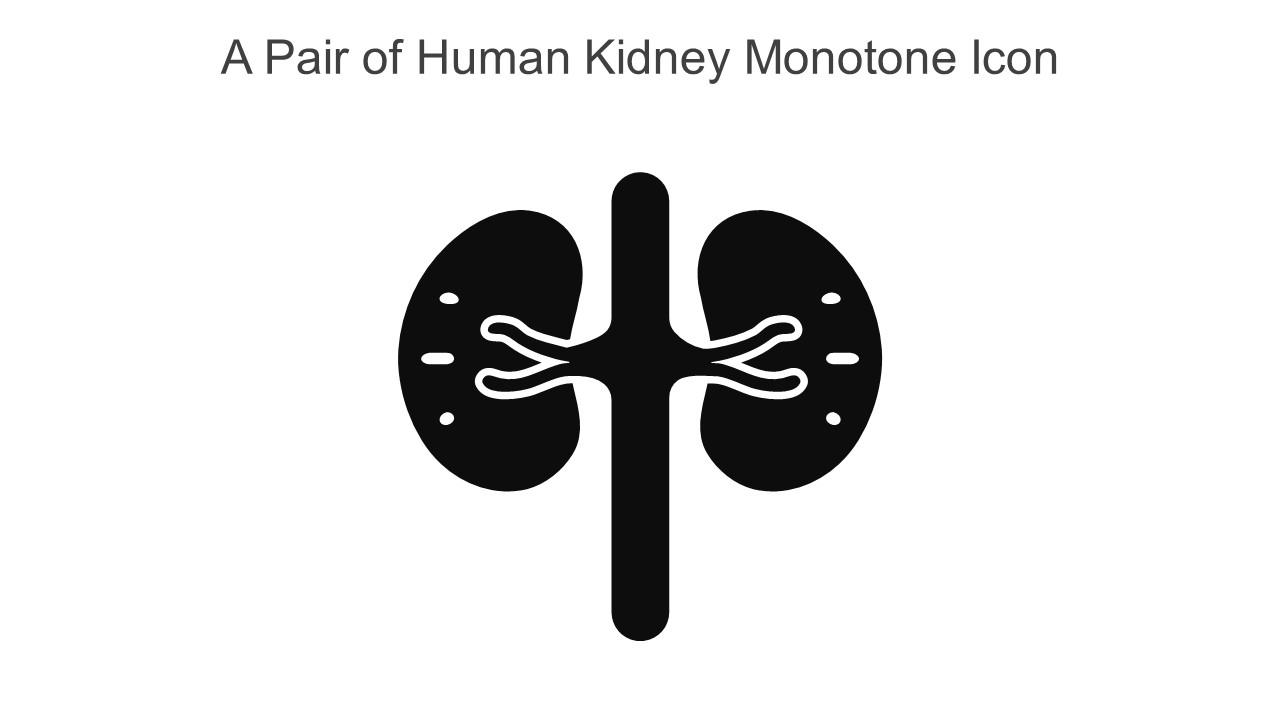 A Pair Of Human Kidney Monotone Icon In Powerpoint Pptx Png And Editable Eps Format