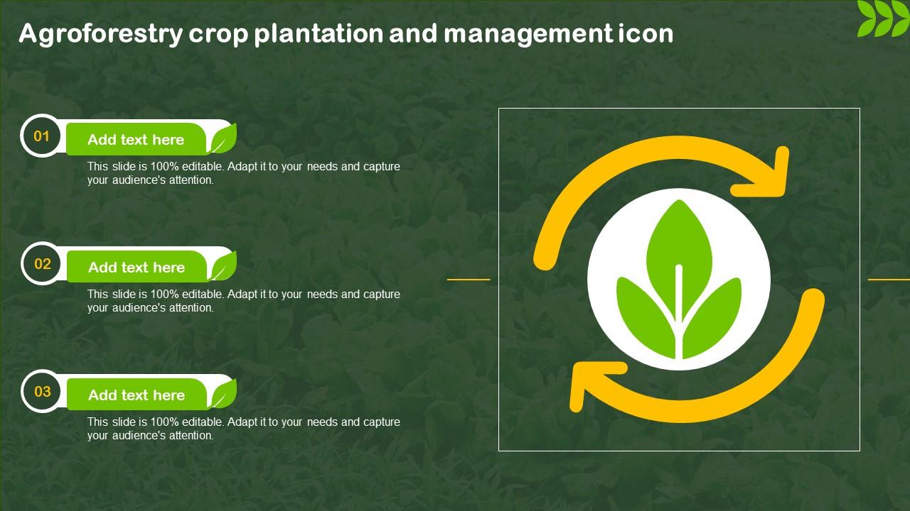 Agroforestry Crop Plantation And Management Icon