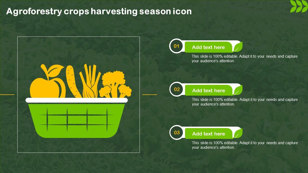 Agroforestry Crops Harvesting Season Icon