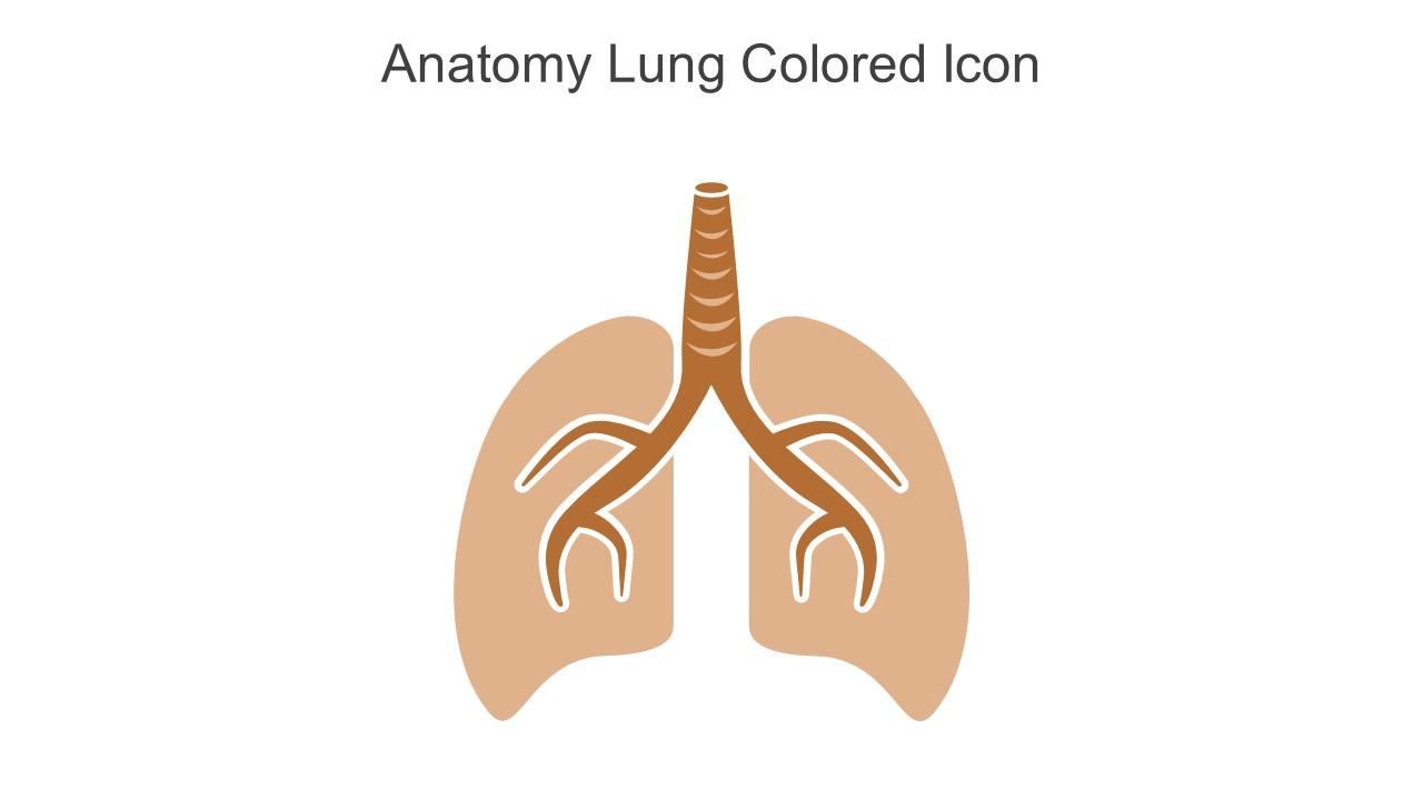 Anatomy Lung Colored Icon In Powerpoint Pptx Png And Editable Eps Format