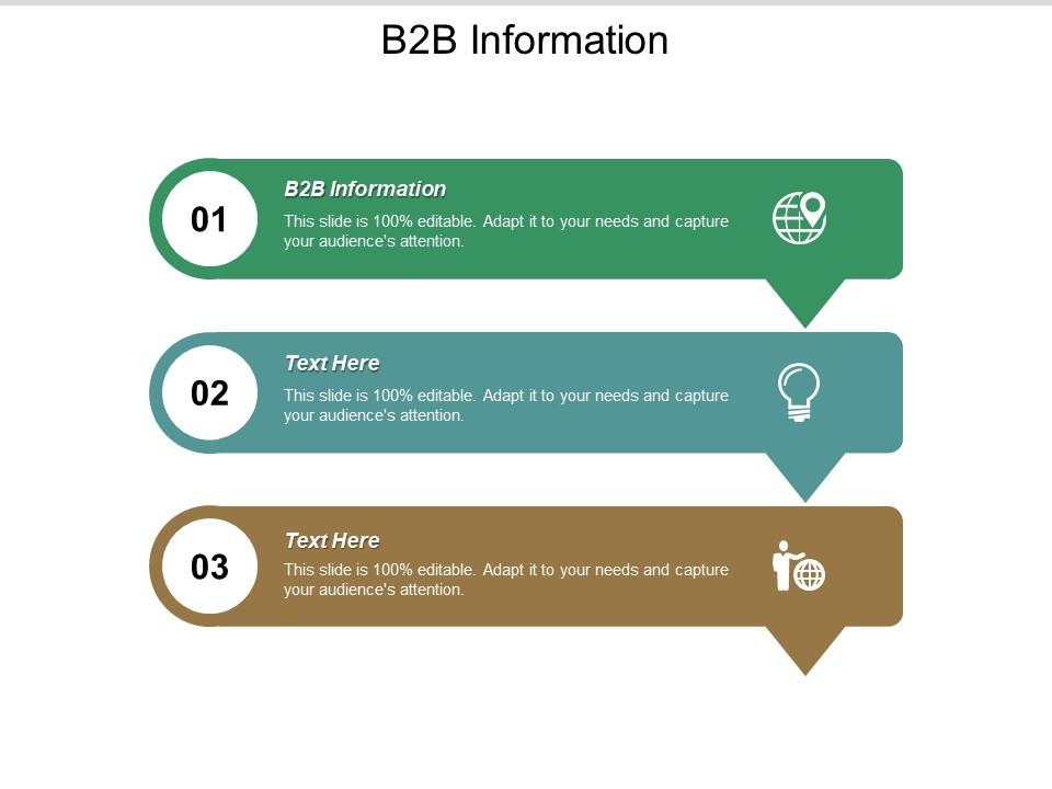 B2b information ppt powerpoint presentation icon slide portrait cpb Slide01