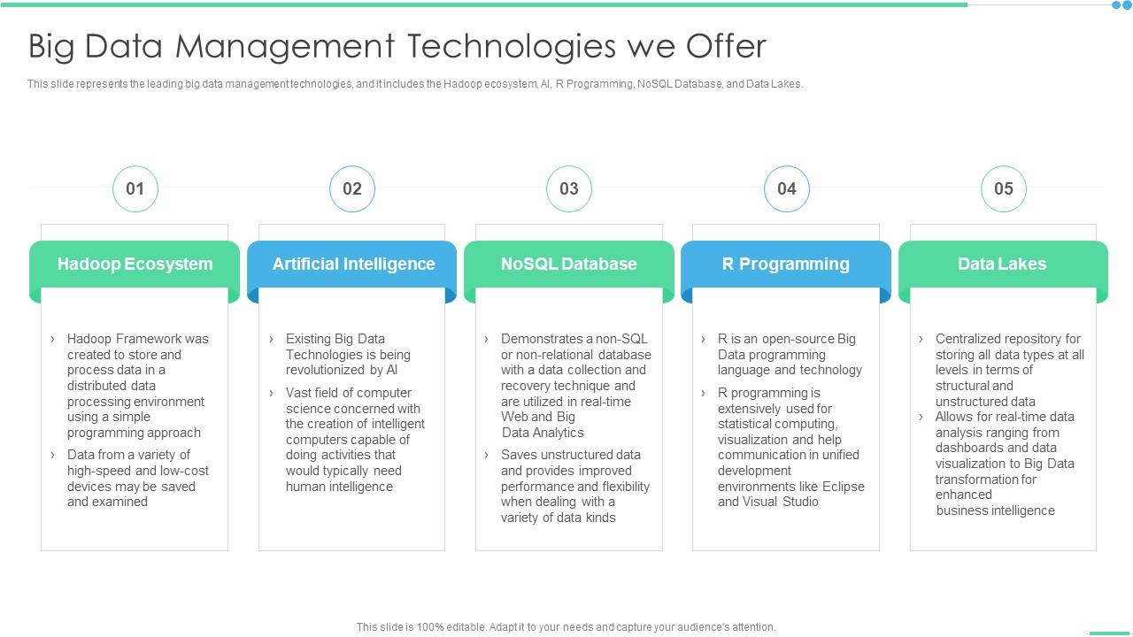 Big Data Management Technologies We Offer Ppt Icon Show Slide01