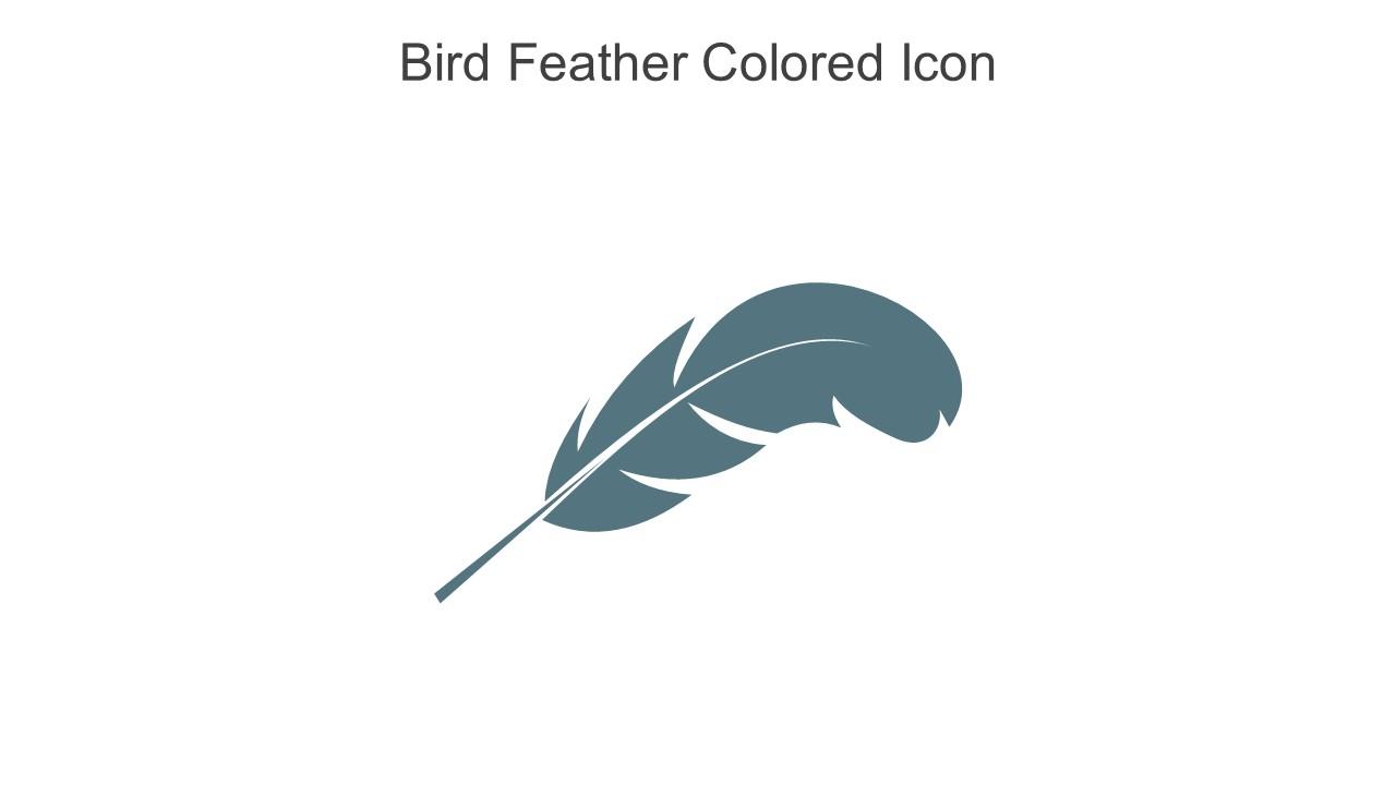Bird Feather Colored Icon In Powerpoint Pptx Png And Editable Eps Format Slide01