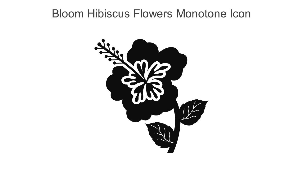 Bloom Hibiscus Flowers Monotone Icon In Powerpoint Pptx Png And Editable Eps Format