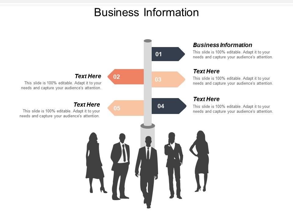 Business information ppt powerpoint presentation icon graphics tutorials cpb Slide01