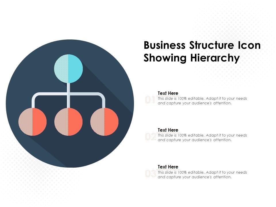 Business structure icon showing hierarchy Slide01