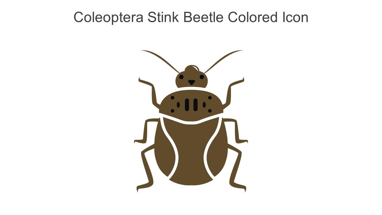 Coleoptera Stink Beetle Colored Icon In Powerpoint Pptx Png And Editable Eps Format