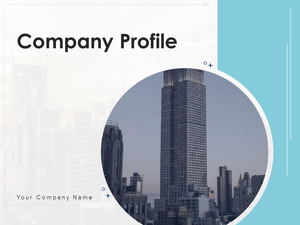 Company profile capital structure business information financial icon Slide01