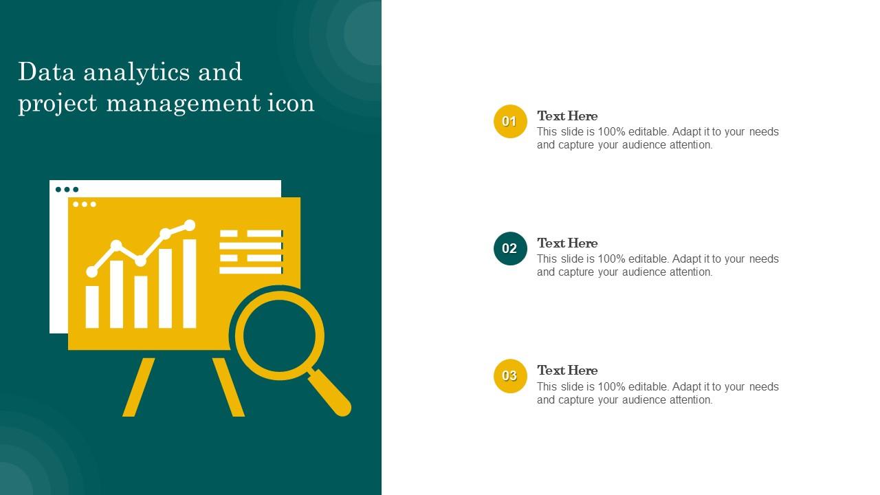 Data Analytics And Project Management Icon Slide01