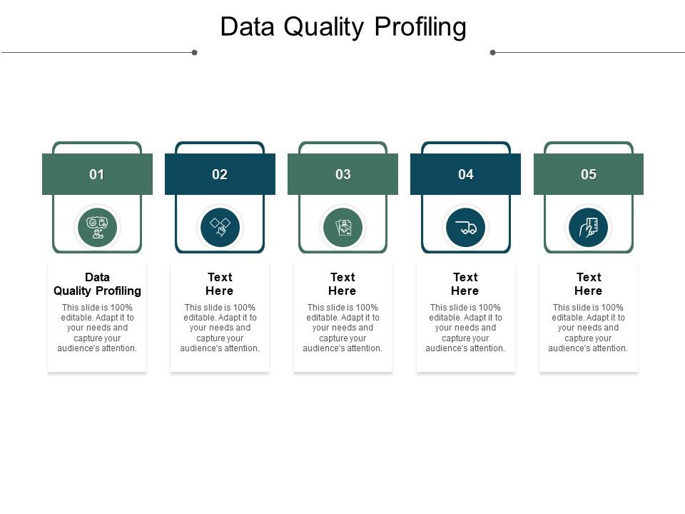Data quality profiling ppt powerpoint presentation icon shapes cpb Slide01