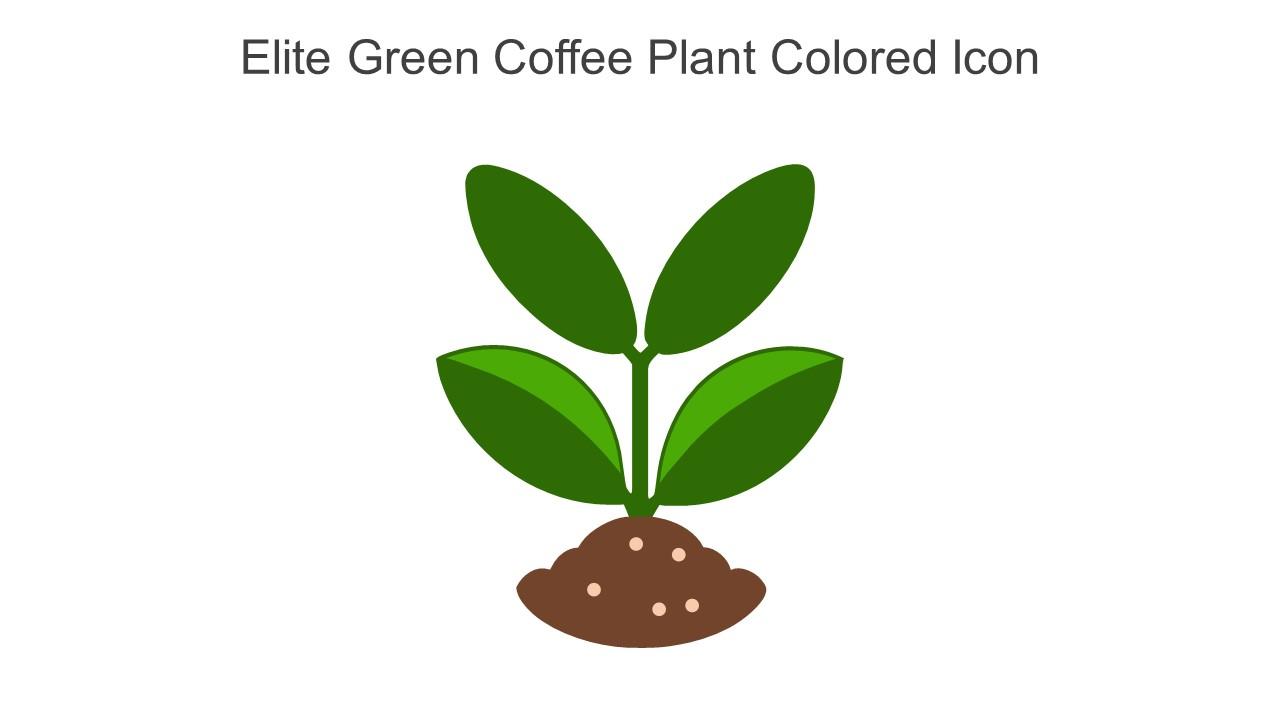 Elite Green Coffee Plant Colored Icon In Powerpoint Pptx Png And Editable Eps Format