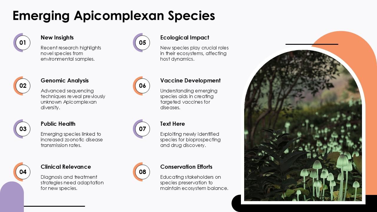 Emerging Apicomplexan Species Apicomplexa Protozoa PPT Designs ACP