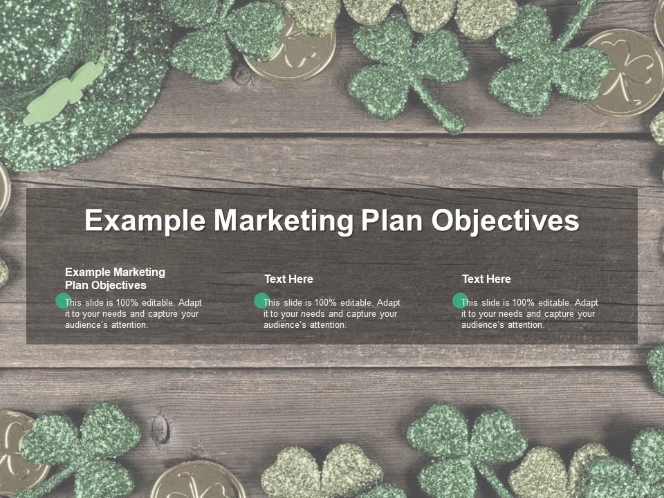 Example marketing plan objectives ppt powerpoint presentation gallery icon cpb Slide01