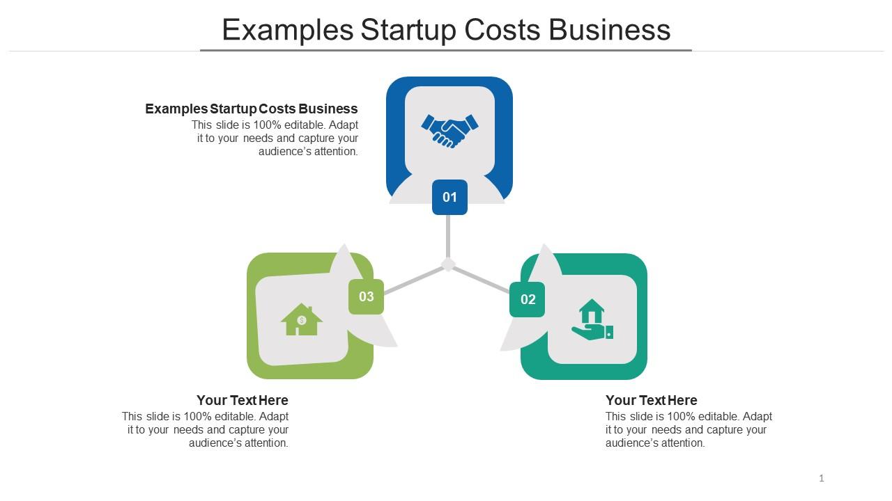 Examples startup costs business ppt powerpoint presentation slides icon cpb Slide01