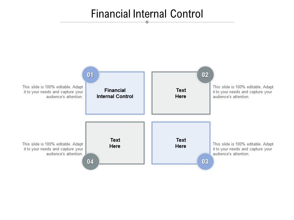 Financial internal control ppt powerpoint presentation icon maker cpb Slide01