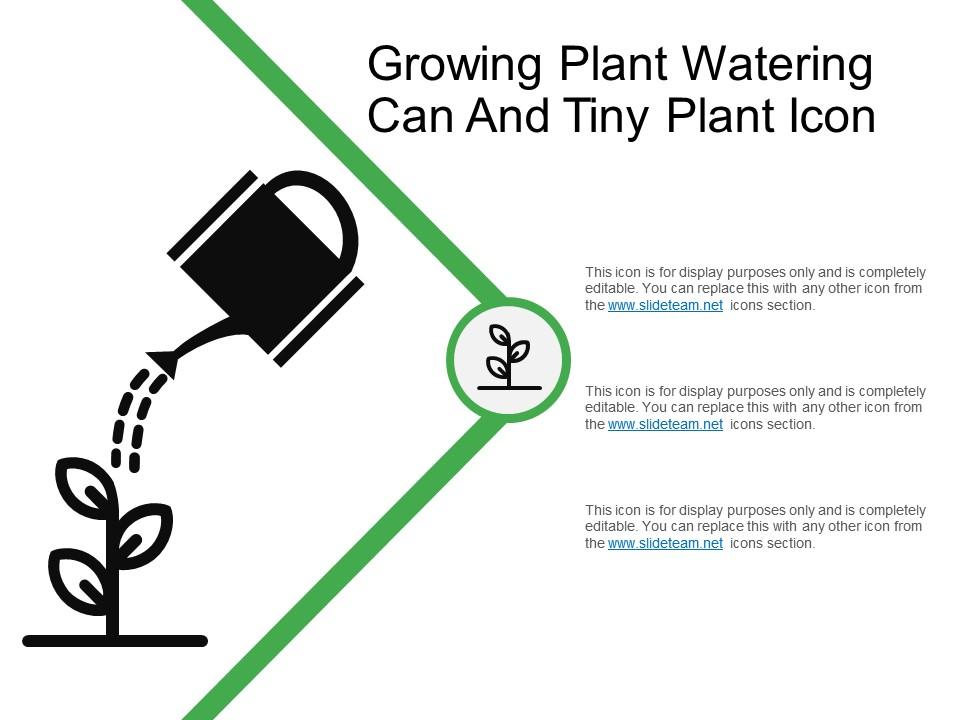 Growing plant watering can and tiny plant icon Slide01