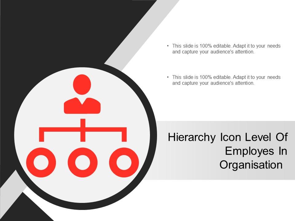 Hierarchy icon level of employes in organisation Slide01