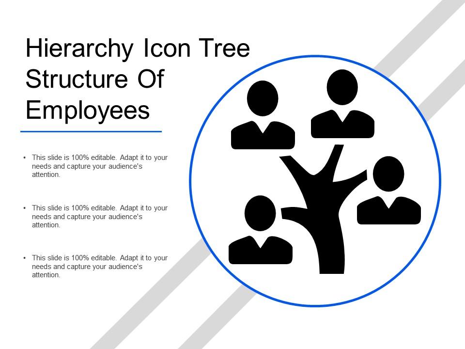 Hierarchy icon tree structure of employees Slide01
