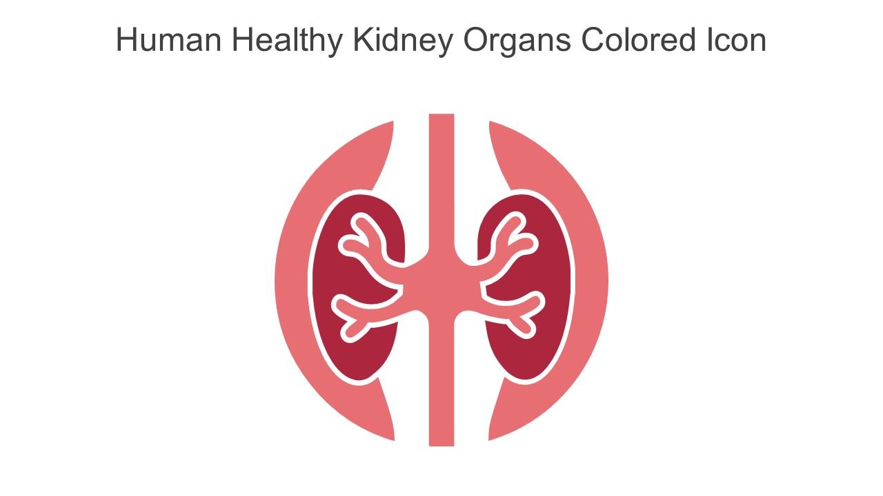 Human Healthy Kidney Organs Colored Icon In Powerpoint Pptx Png And Editable Eps Format