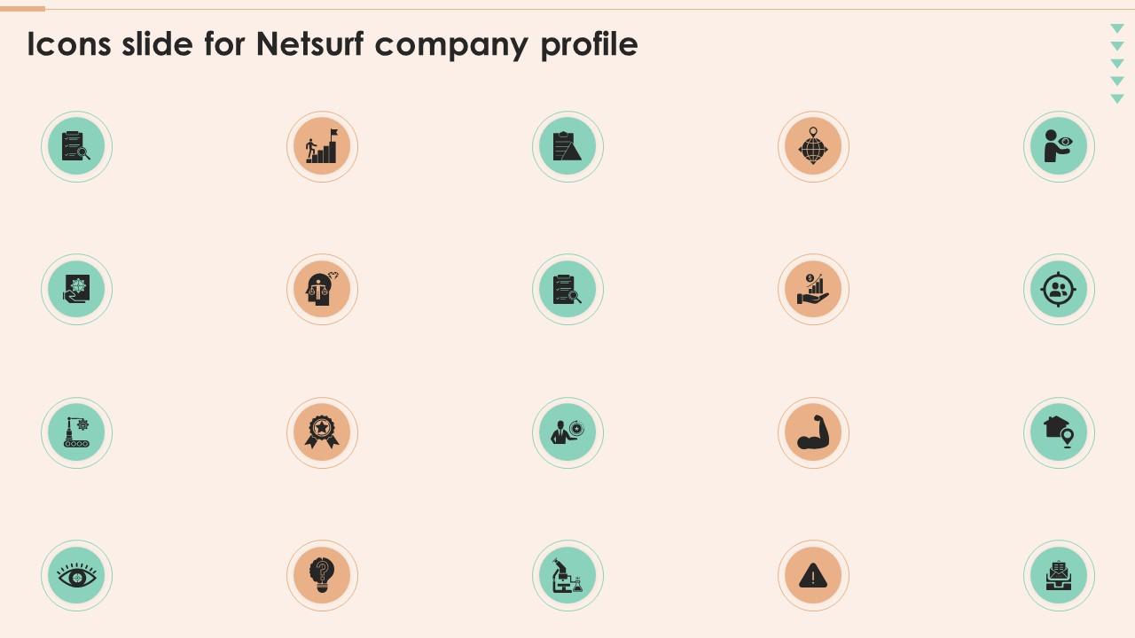 Icons Slide For Netsurf Company Profile Ppt Powerpoint Presentation Professional Example Slide01