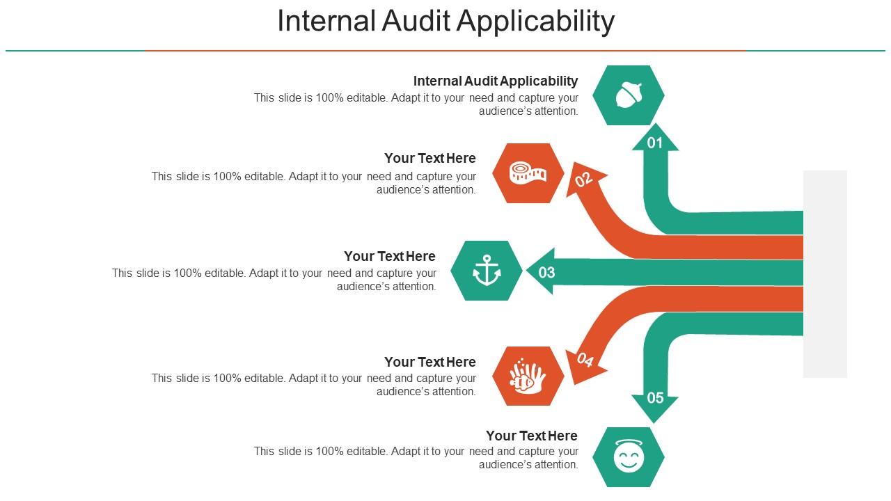 Internal Audit Applicability Ppt Powerpoint Presentation Icon Diagrams Cpb Slide01