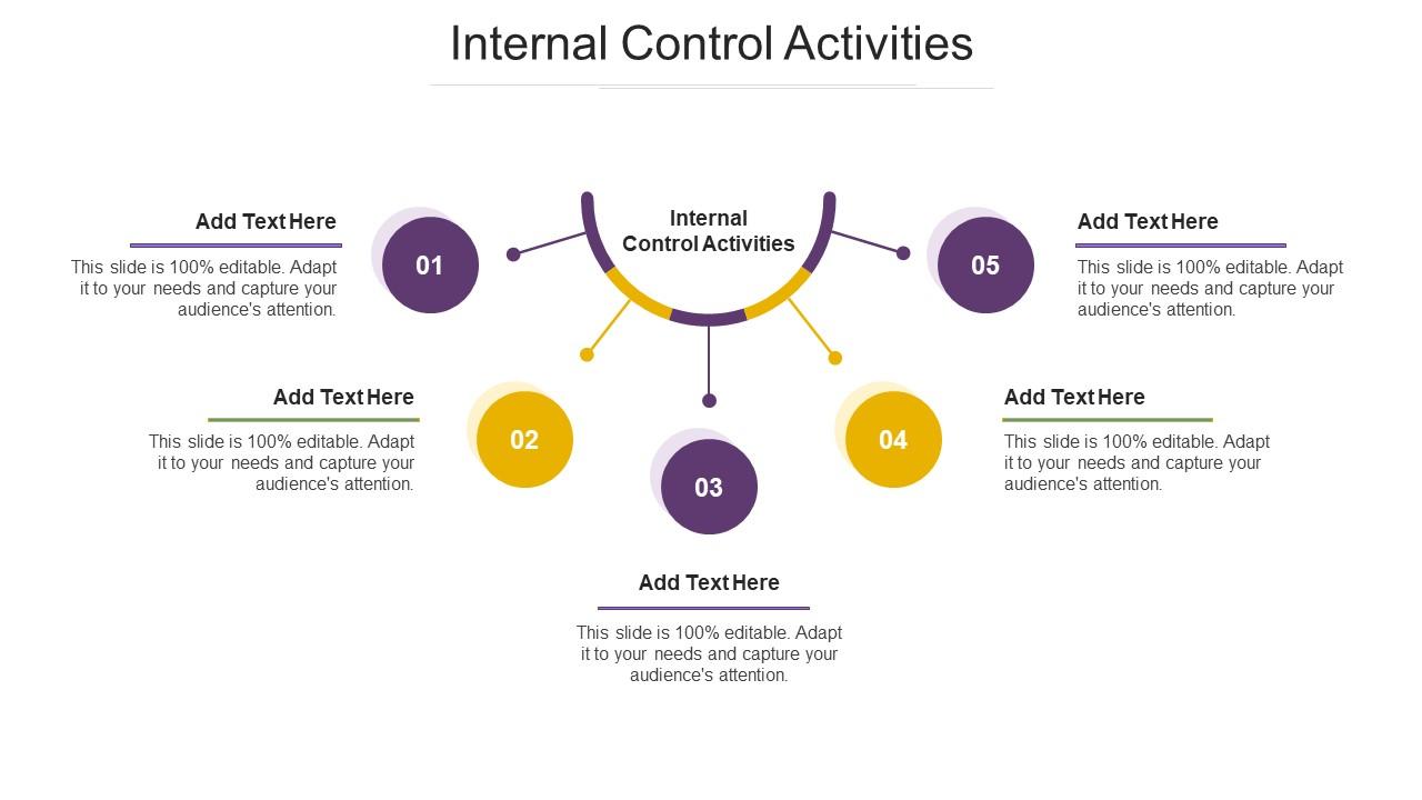 Internal Control Activities Ppt Powerpoint Presentation Icon Graphic Tips Cpb Slide01