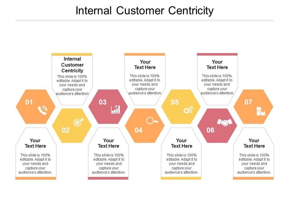 Internal customer centricity ppt powerpoint presentation icon examples cpb Slide01