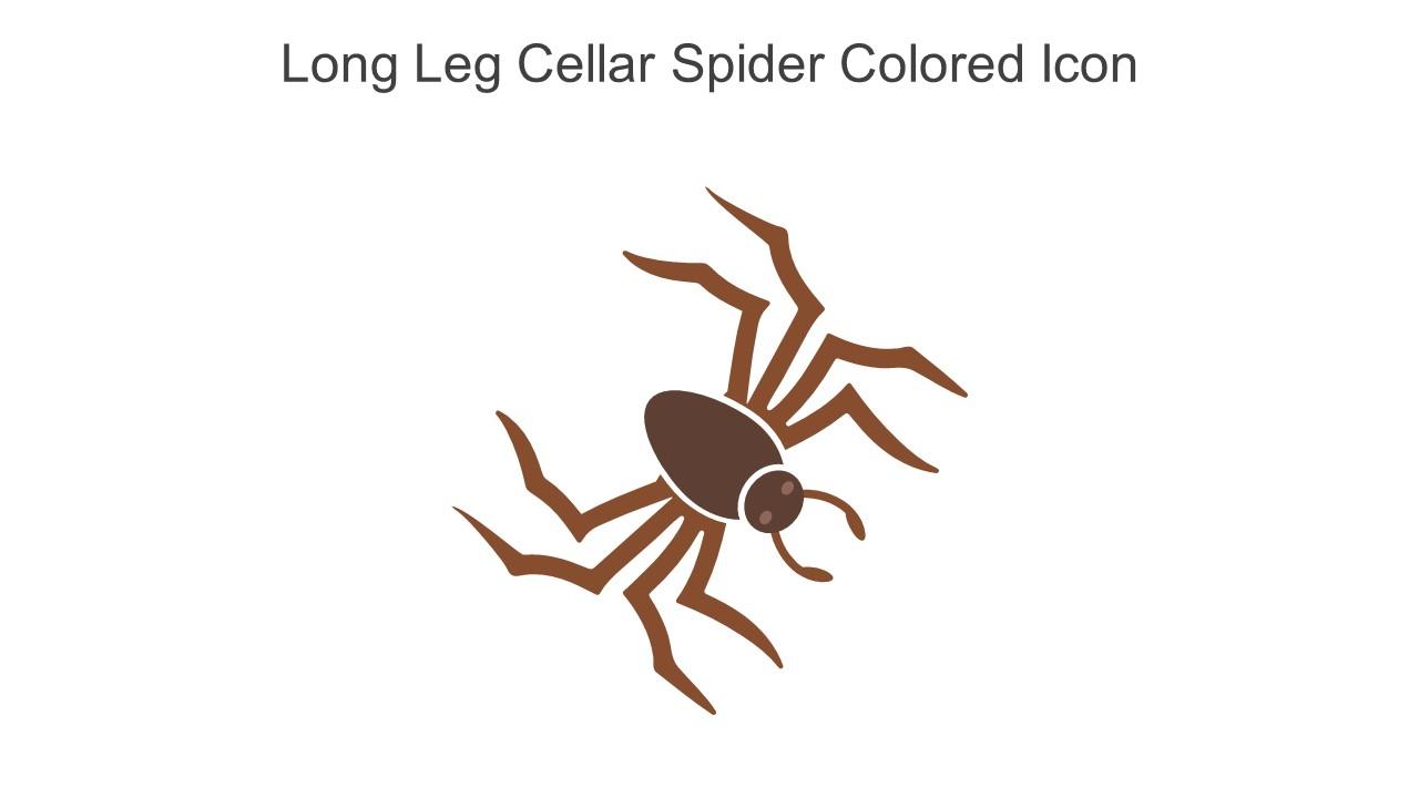 Long Leg Cellar Spider Colored Icon In Powerpoint Pptx Png And Editable Eps Format