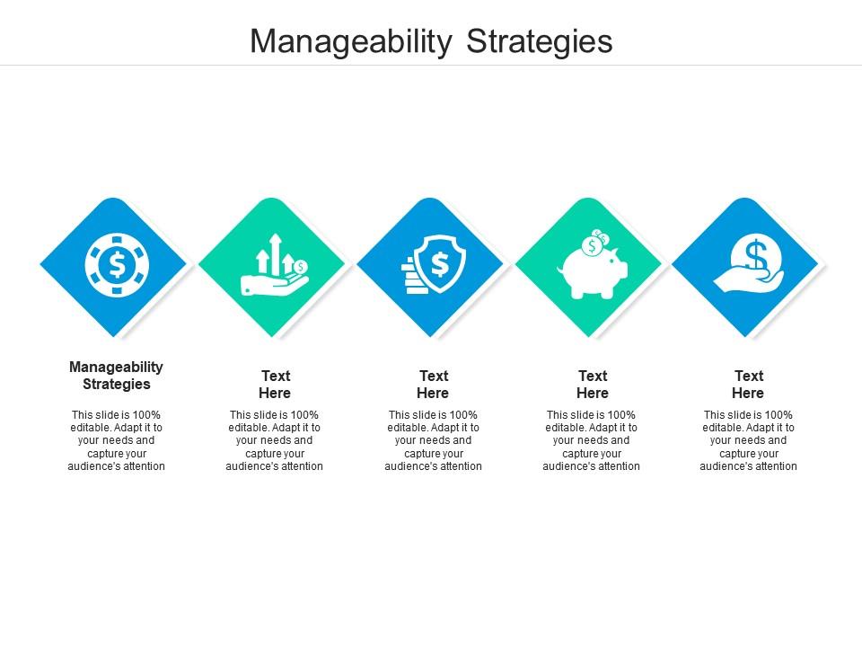 Manageability strategies ppt powerpoint presentation icon aids cpb Slide01