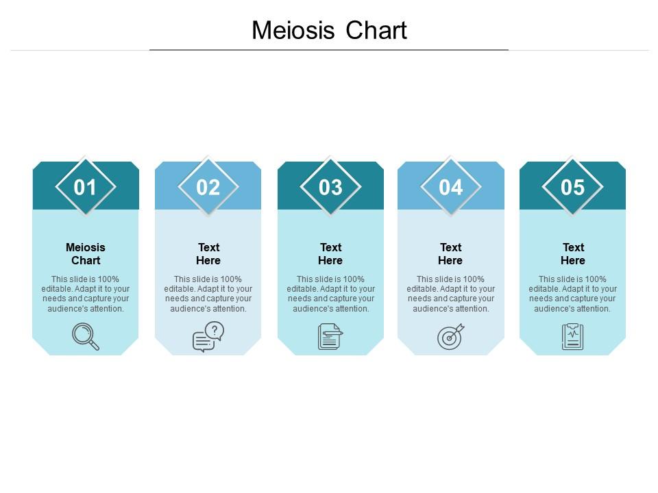 Meiosis chart ppt powerpoint presentation icon example introduction cpb Slide01