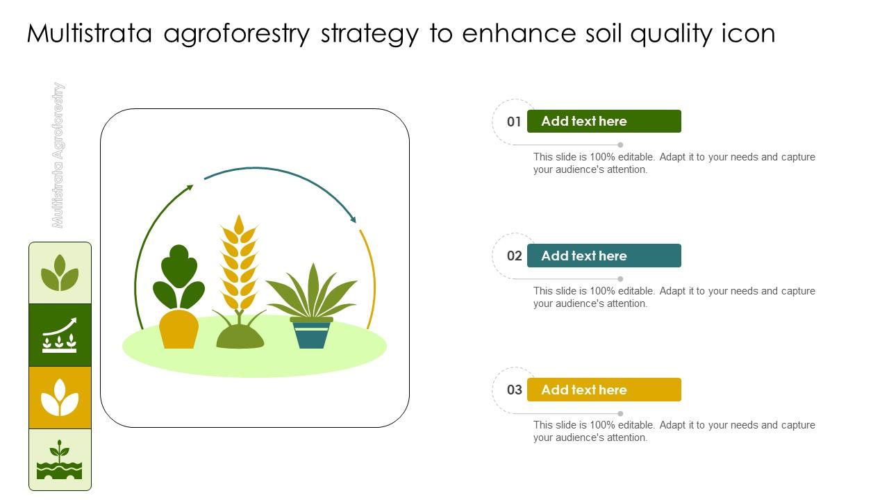 Multistrata Agroforestry Strategy To Enhance Soil Quality Icon
