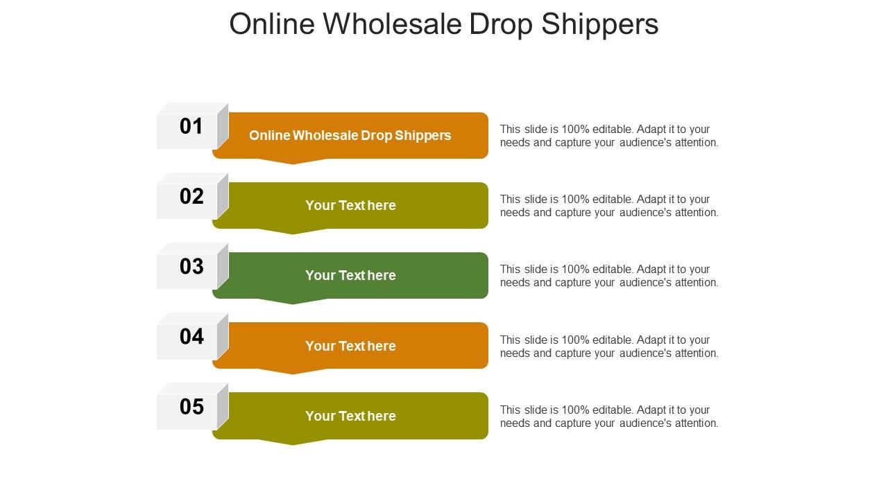 Online wholesale drop shippers ppt powerpoint presentation model icons cpb Slide01