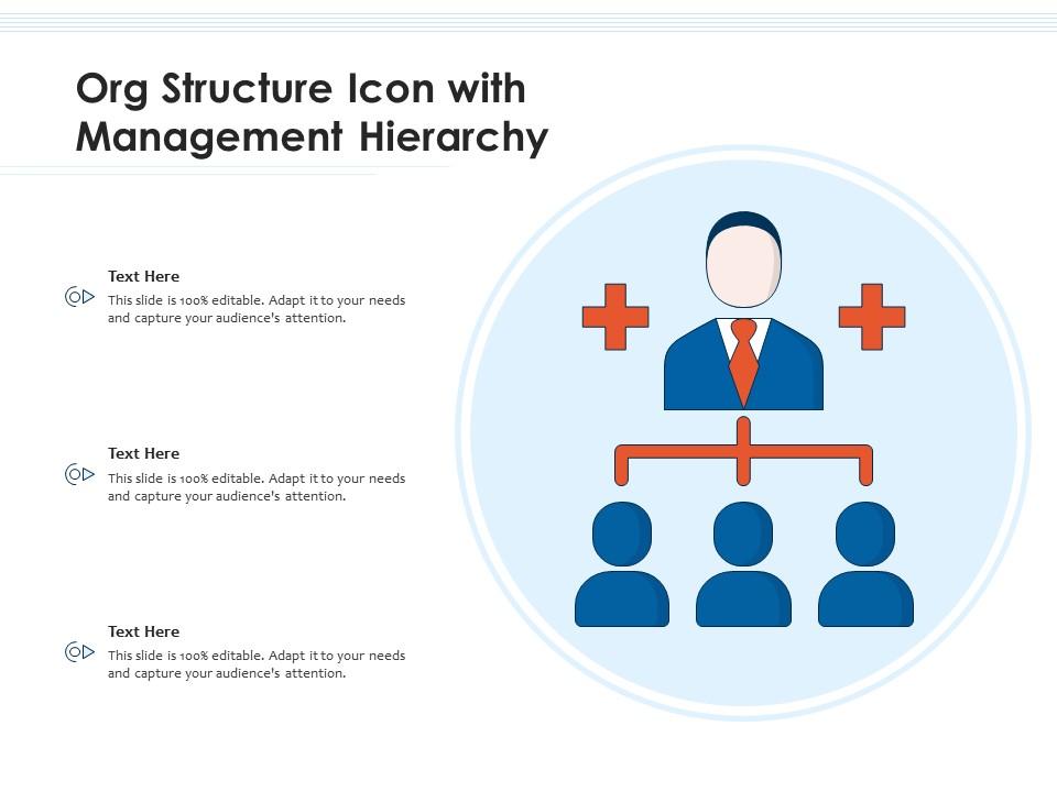 Org structure icon with management hierarchy Slide01