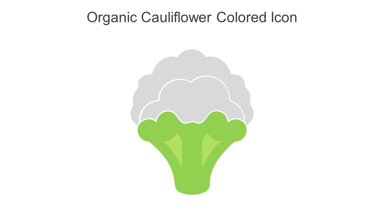 Organic Cauliflower Colored Icon In Powerpoint Pptx Png And Editable Eps Format