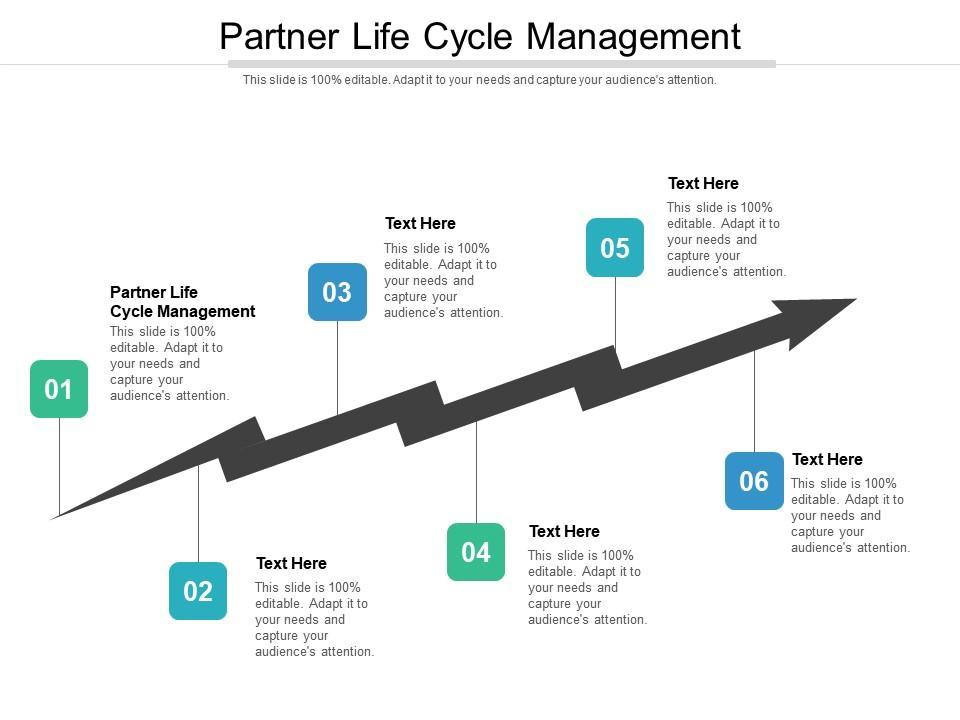 Partner life cycle management ppt powerpoint presentation icon slides cpb Slide01
