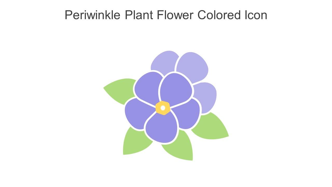 Periwinkle Plant Flower Colored Icon In Powerpoint Pptx Png And Editable Eps Format