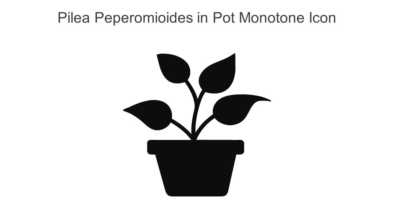 Pilea Peperomioides In Pot Monotone Icon In Powerpoint Pptx Png And Editable Eps Format