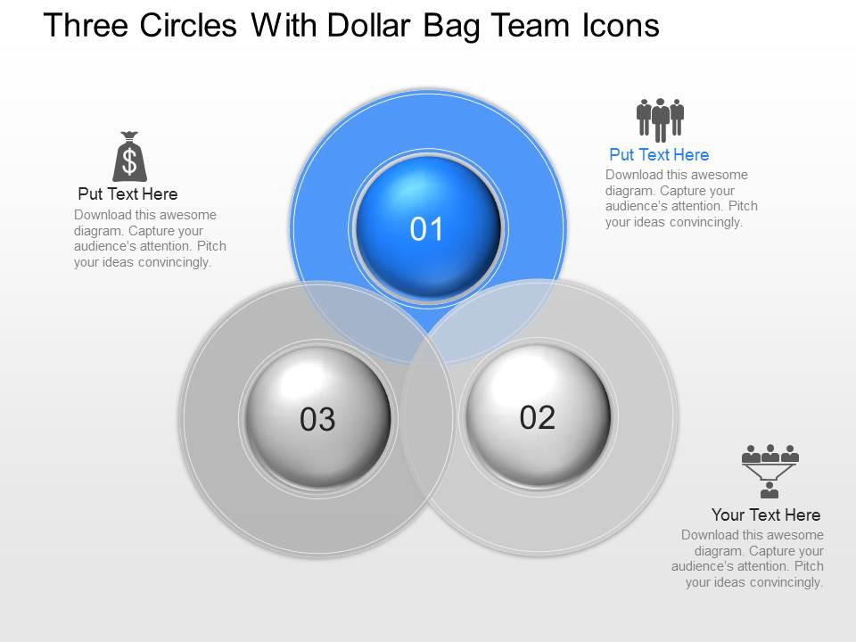 Pn three circles with dollar bag team icons powerpoint template slide Slide01