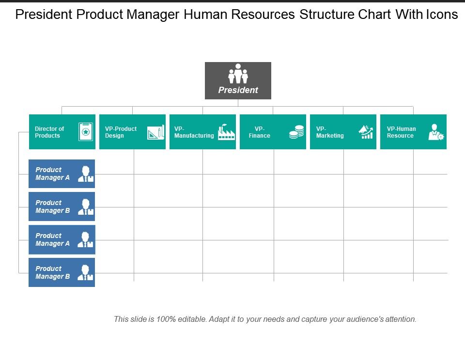 President product manager human resources structure chart with icons Slide01