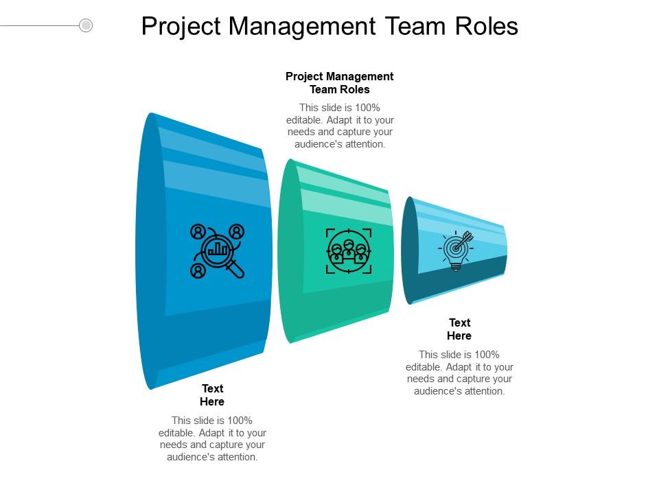 Project management team roles ppt powerpoint presentation gallery icons cpb Slide01