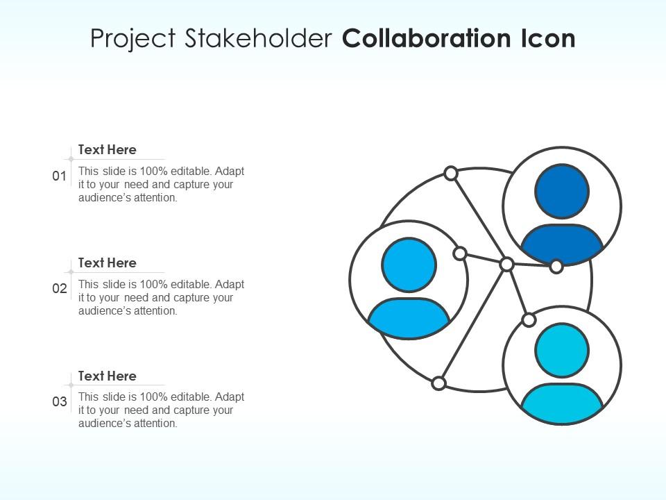 Project stakeholder collaboration icon Slide01