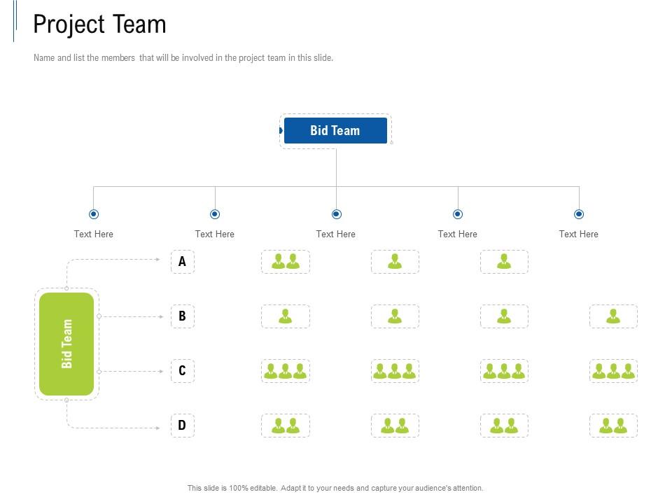 Project team tender response management ppt powerpoint presentation icon guide Slide01