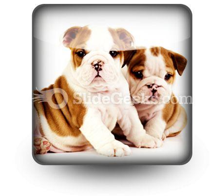 Bulldogs animals powerpoint icon s Slide01