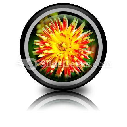 Dahlia beauty powerpoint icon cc Slide01