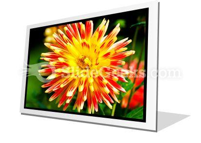 Dahlia beauty powerpoint icon f Slide01