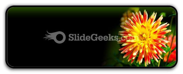 Dahlia beauty powerpoint icon r Slide01