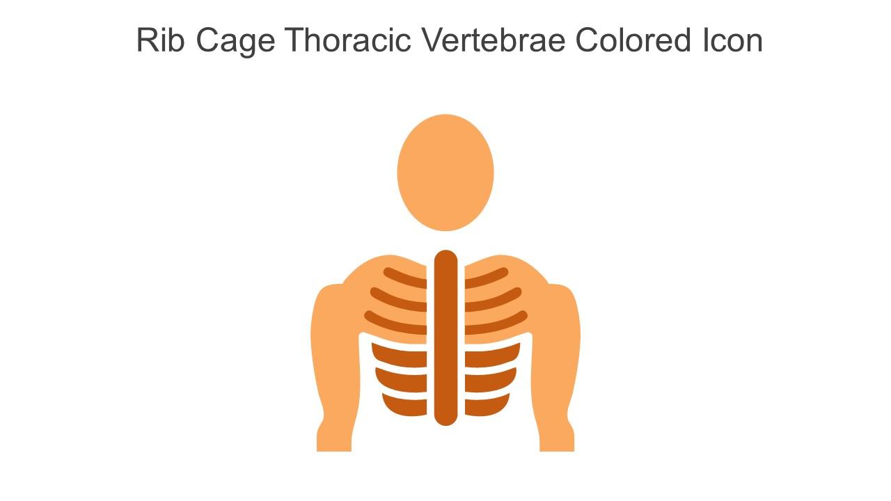 Rib Cage Thoracic Vertebrae Colored Icon In Powerpoint Pptx Png And Editable Eps Format