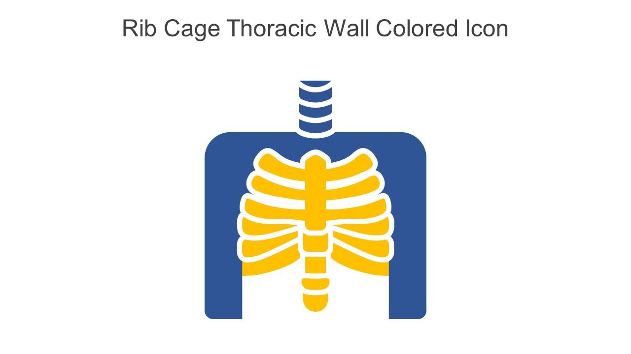Rib Cage Thoracic Wall Colored Icon In Powerpoint Pptx Png And Editable Eps Format
