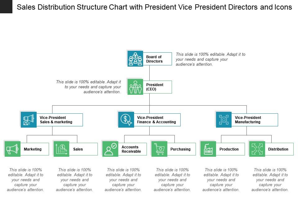 Sales distribution structure chart with president vice president directors and icons Slide01