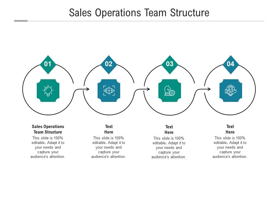 Sales operations team structure ppt powerpoint presentation icon clipart cpb Slide01